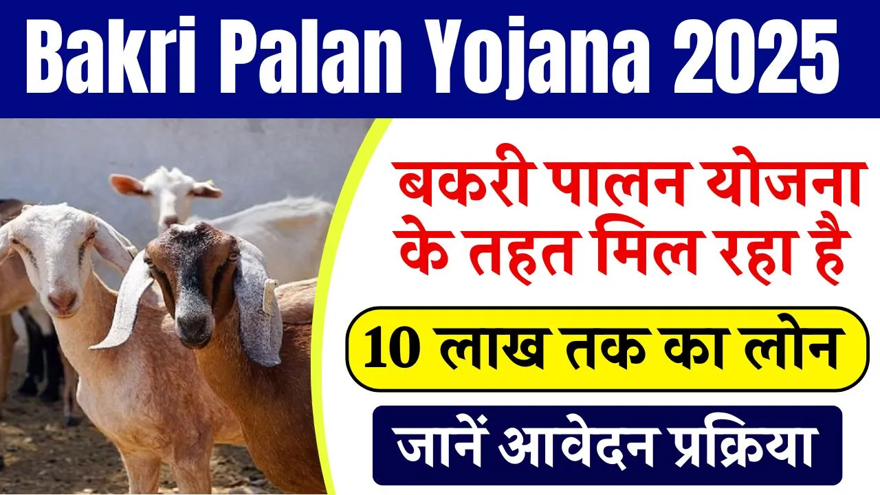 Bakri Palan Yojana 2025